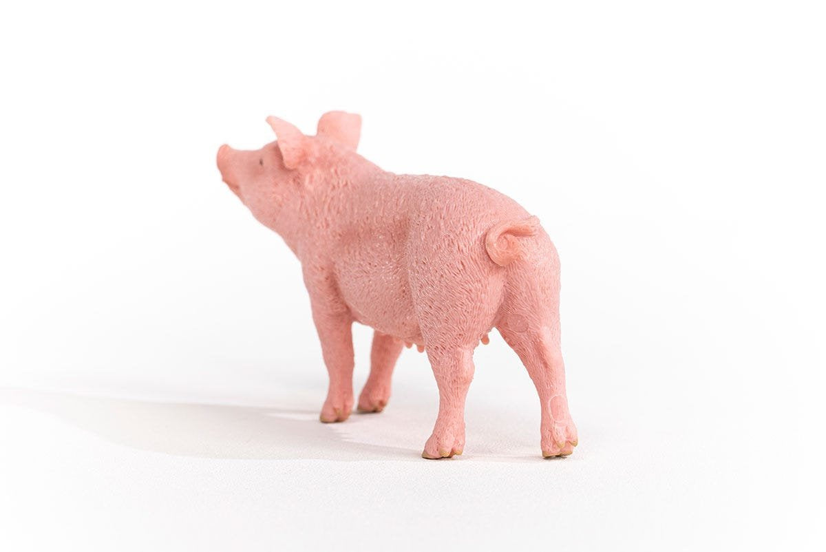 EAN 4059433358260 - schleich FARM WORLD 13933 figura de juguete para niños imagen 4