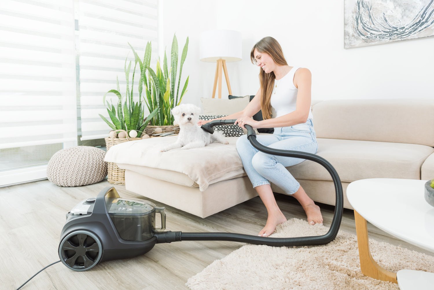 EAN 8590393303540 - Eta Grande Animal 2223 90000 3,2 L Aspiradora cilíndrica Secar 850 W Sin bolsa imagen 21