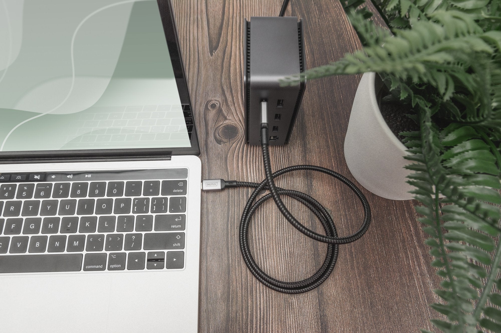EAN 4016032485889 - Digitus DB-300443-030-S cable USB USB4 Gen 2x2 3 m USB C Negro imagen 2