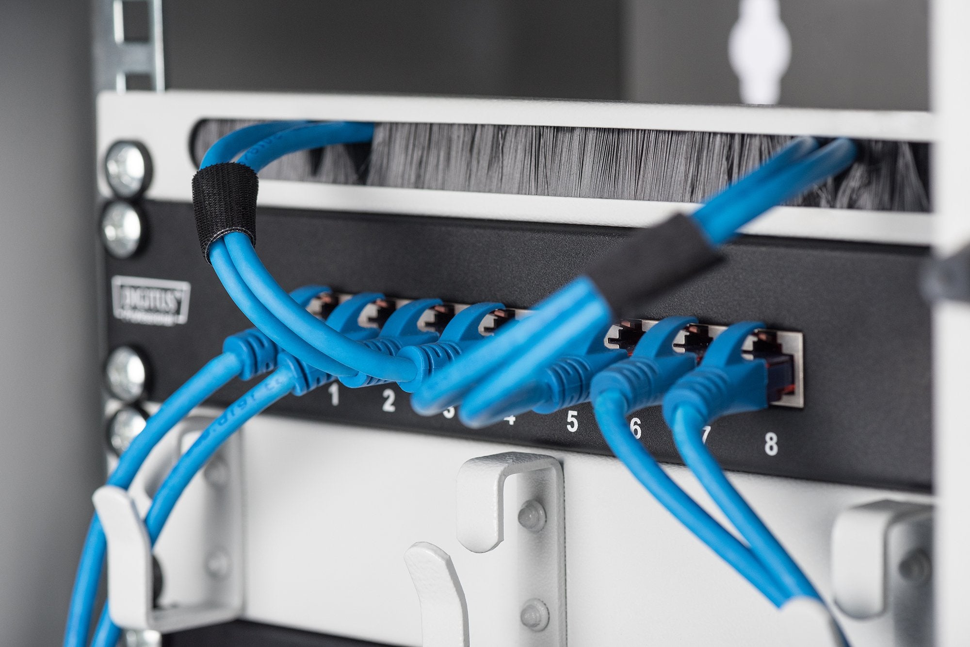 EAN 4016032139843 - Digitus DN-10 ORG-1/2U accesorio para panel de conexiones imagen 2