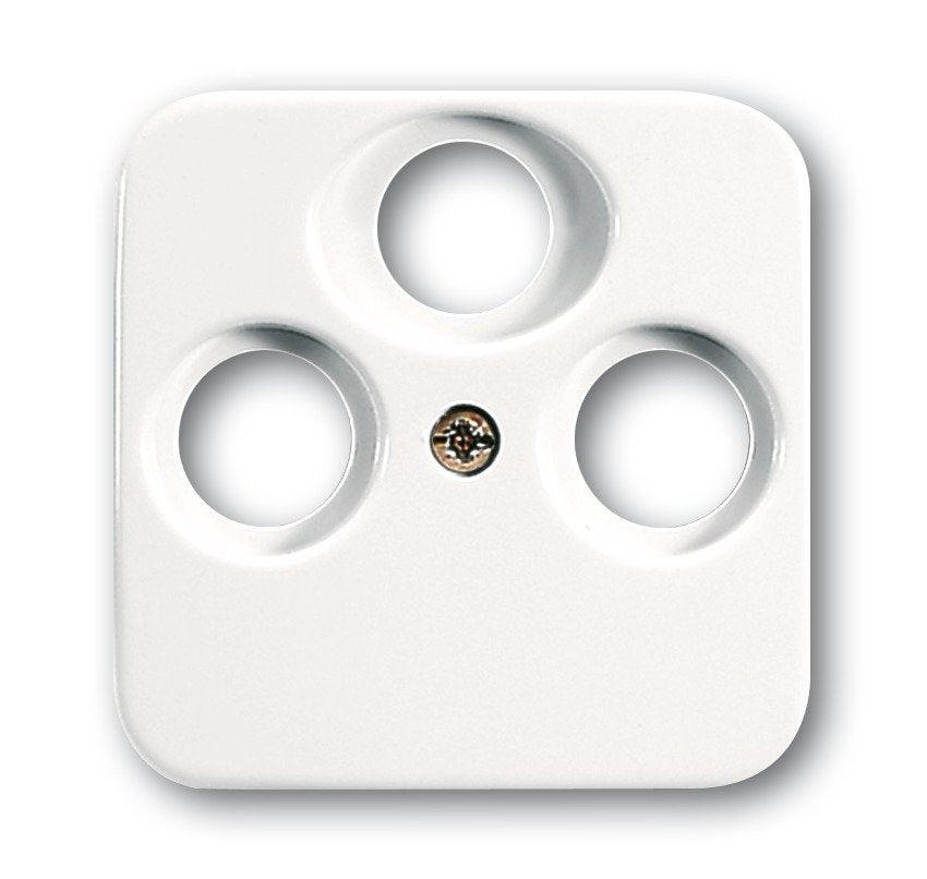 EAN 4011395538005 - Busch-Jaeger 1724-0-1754 placa de pared y cubierta de interruptor Blanco imagen 1