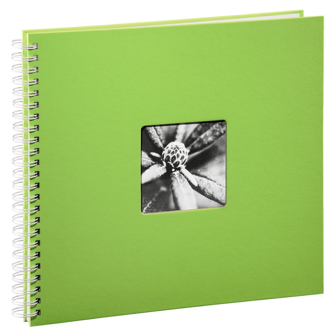 EAN 4007249021168 - Hama Fine Art álbum de foto y protector Verde 300 hojas 10 x 15 cm imagen 1