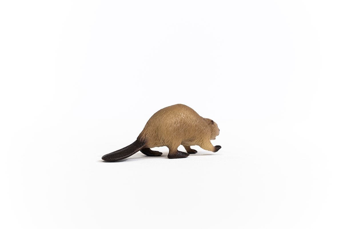 Schleich Castor Vida Salvaje 14855
