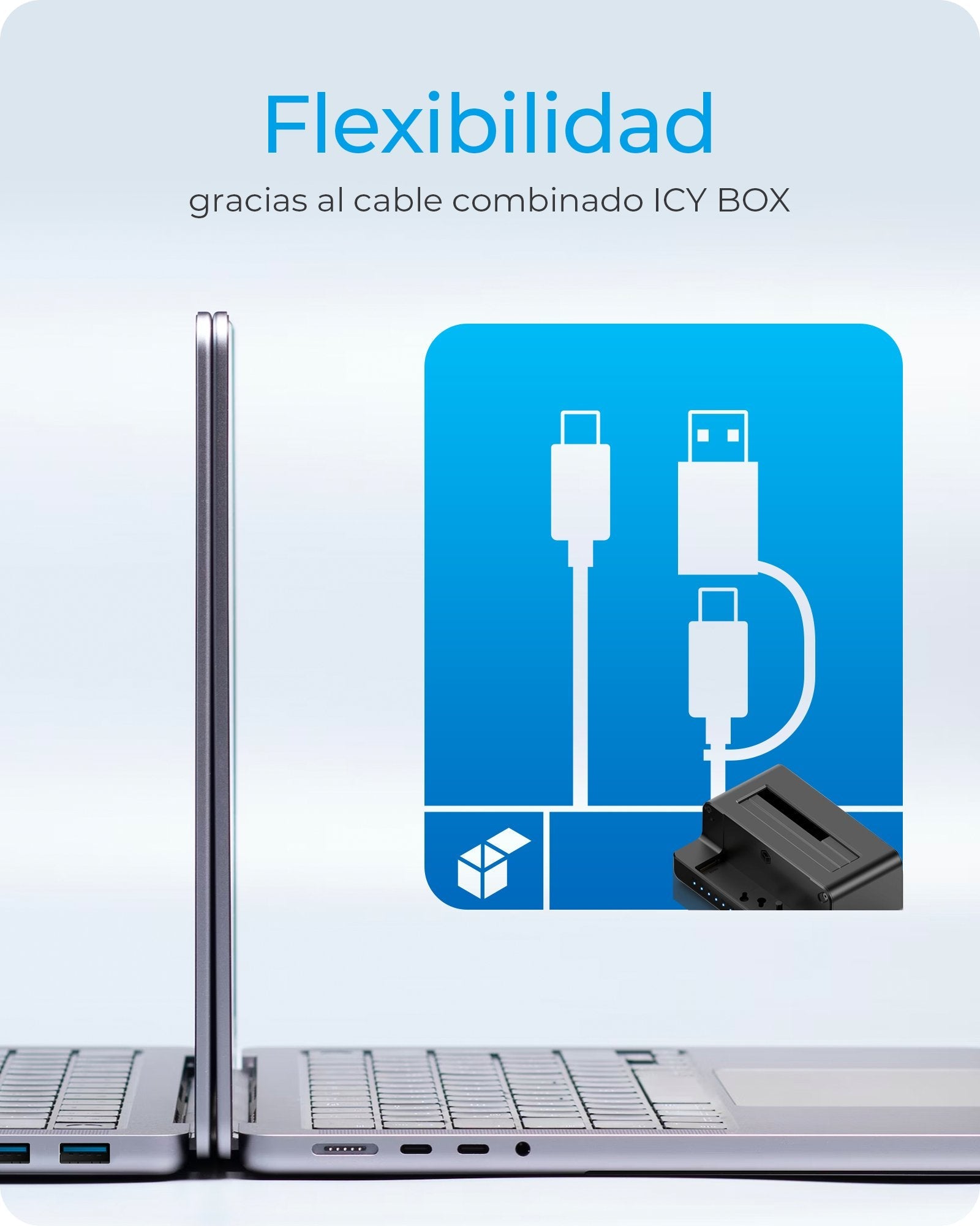 Docking Icy Box Ib-2914mscl-C31 Usb 3.2 Gen 2 (3.1 Gen 2) Type-C Negro