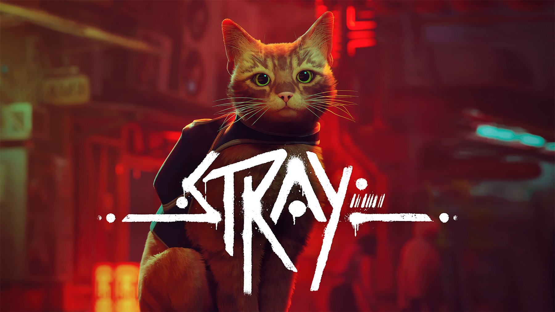 EAN 811949038685 - Take-Two Interactive Stray Estándar Chino simplificado, Chino tradicional, Alemán, Holandés, Inglés, Españ imagen 1