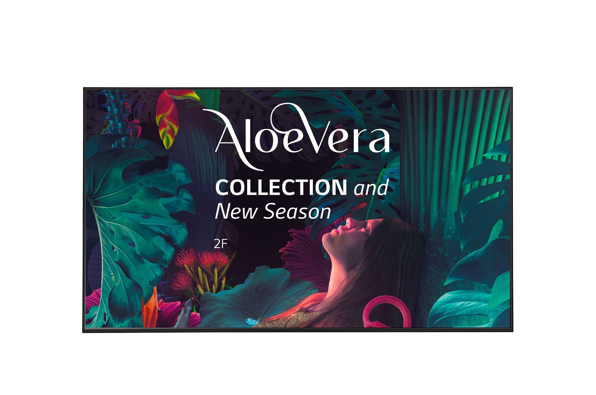 EAN 8806084296603 - LG 65UH5N-E Pantalla plana para señalización digital 165,1 cm (65") LCD Wifi 500 cd / m² 4K Ultra HD Negr imagen 1