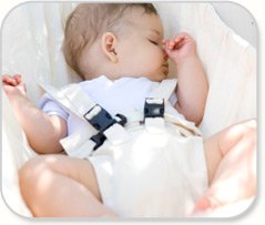 Amazonas Koala Hamaca De Tela Algodón Para Bebes