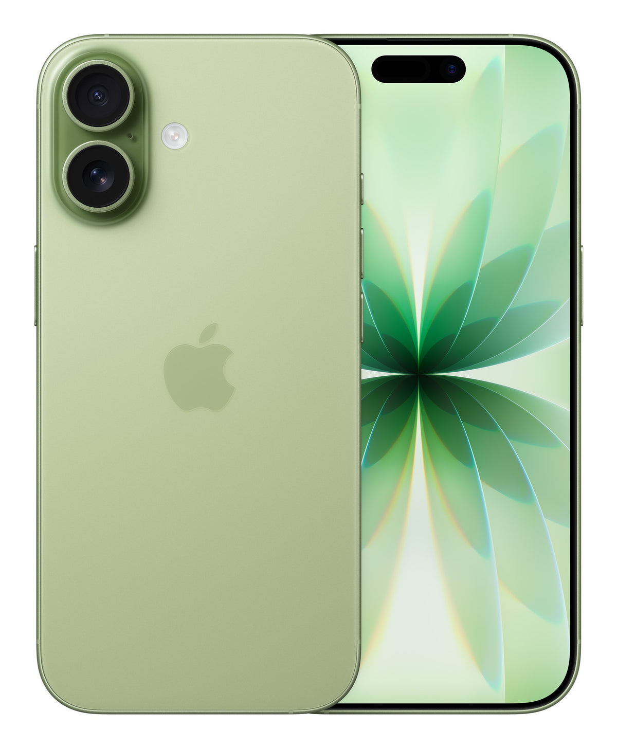 EAN 0195950645309 - Apple iPhone 17 16 cm (6.3") SIM doble iOS 26 5G USB Tipo C 512 GB Salvia imagen 1