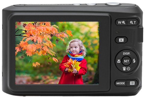 Kodak Pixpro Fz45 - 16 Mp - 4608 X 3456 Pixel - Cmos - 4x - Full Hd - Negro