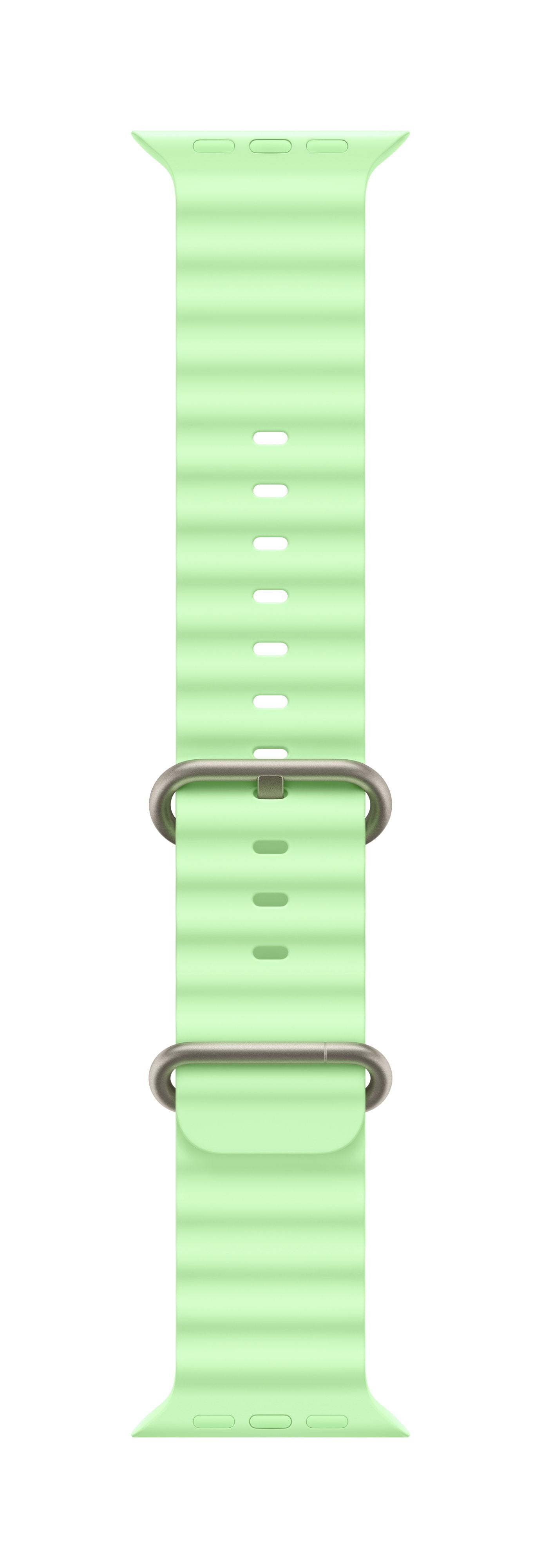 EAN 0195950648317 - Apple Natural Titanium Finish Grupo de rock Verde Fluoroelastómero, Titanio imagen 1