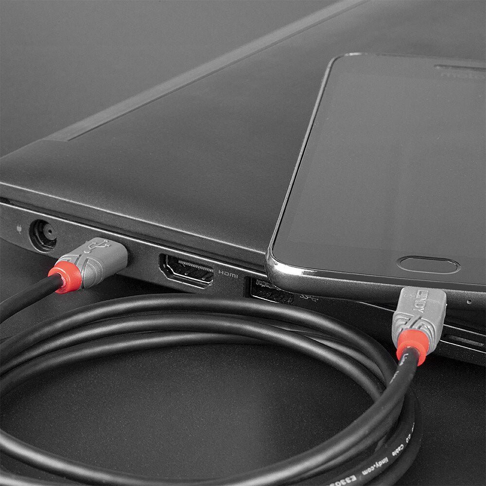 Lindy 3m Usb 2.0 Typ C An Micro-B Cable, Anthra Line