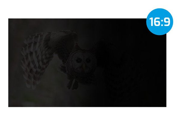 EAN 5901969443998 - NATEC NFP-2118 filtro para monitor 68,6 cm (27") Pantalla/Portátil Filtro de privacidad para pantallas si imagen 4