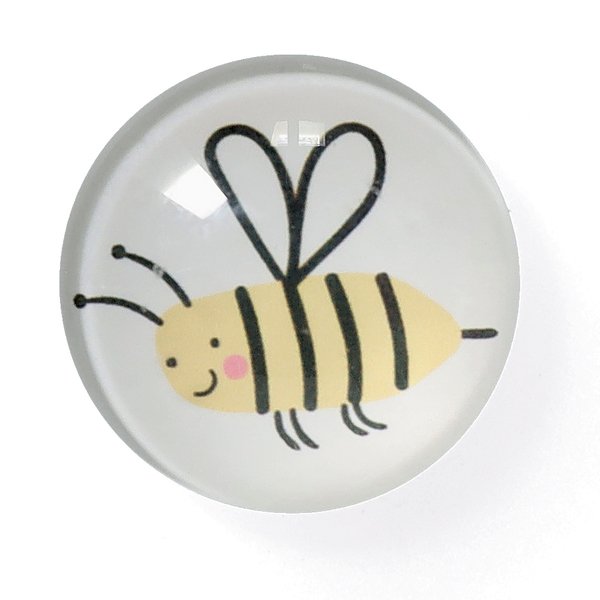 Zeller Insekten Magnete Motiv