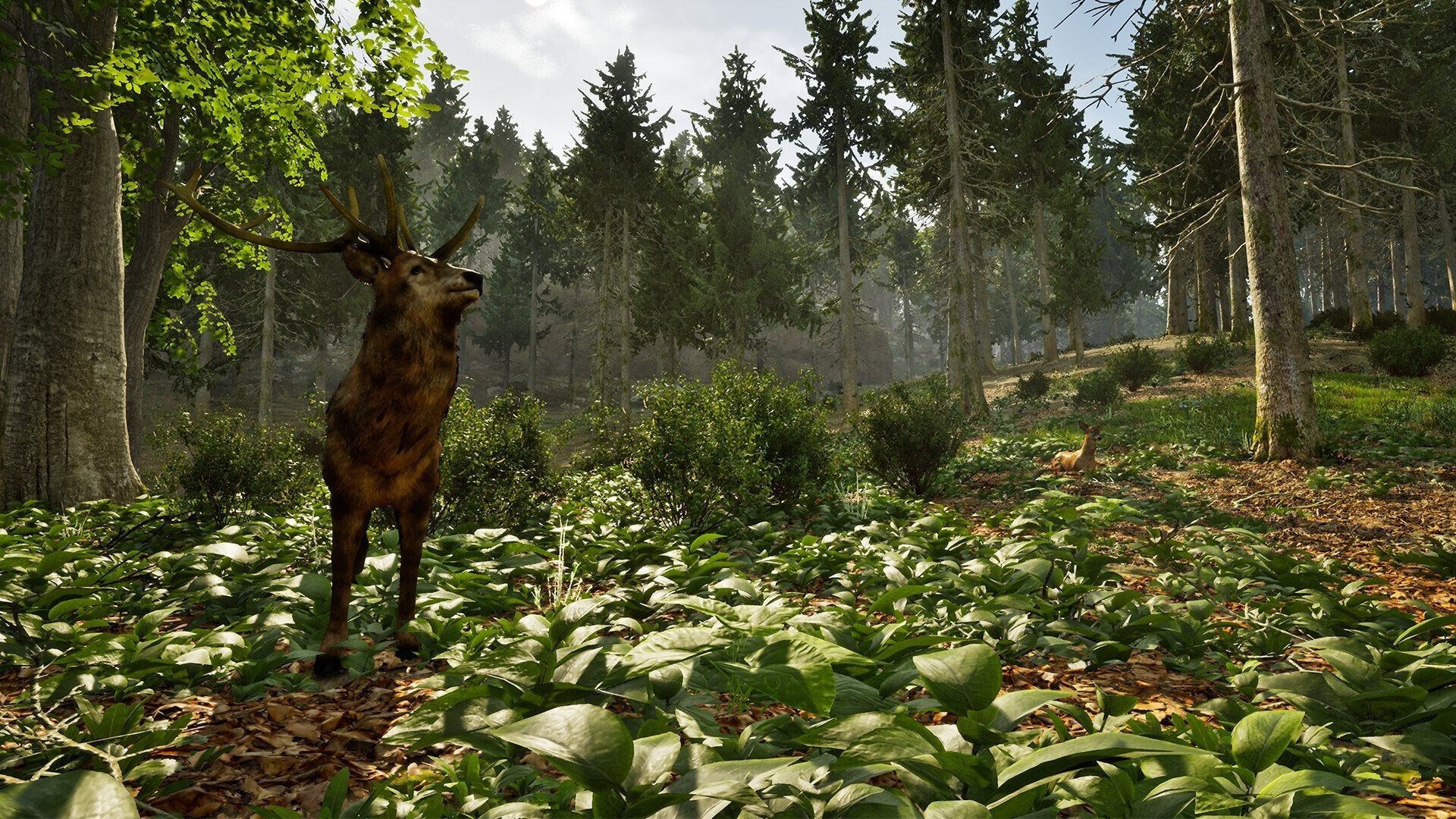 Juego Park Ranger Simulator Playstation 5