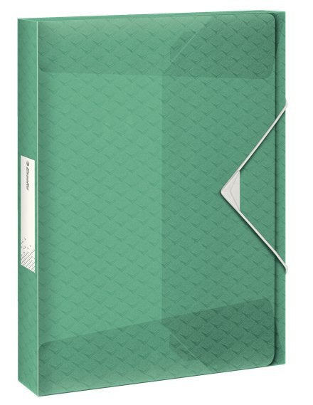 Esselte Carpeta De Proyectos Colour´Ice Capacidad Adicional A4 Polipropileno Verde Translúcido
