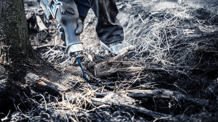 Bosch Hoja De Sierra De Sable Expert  Tough Woodâ S 1142 Khm, 10 Piezas 2608900405