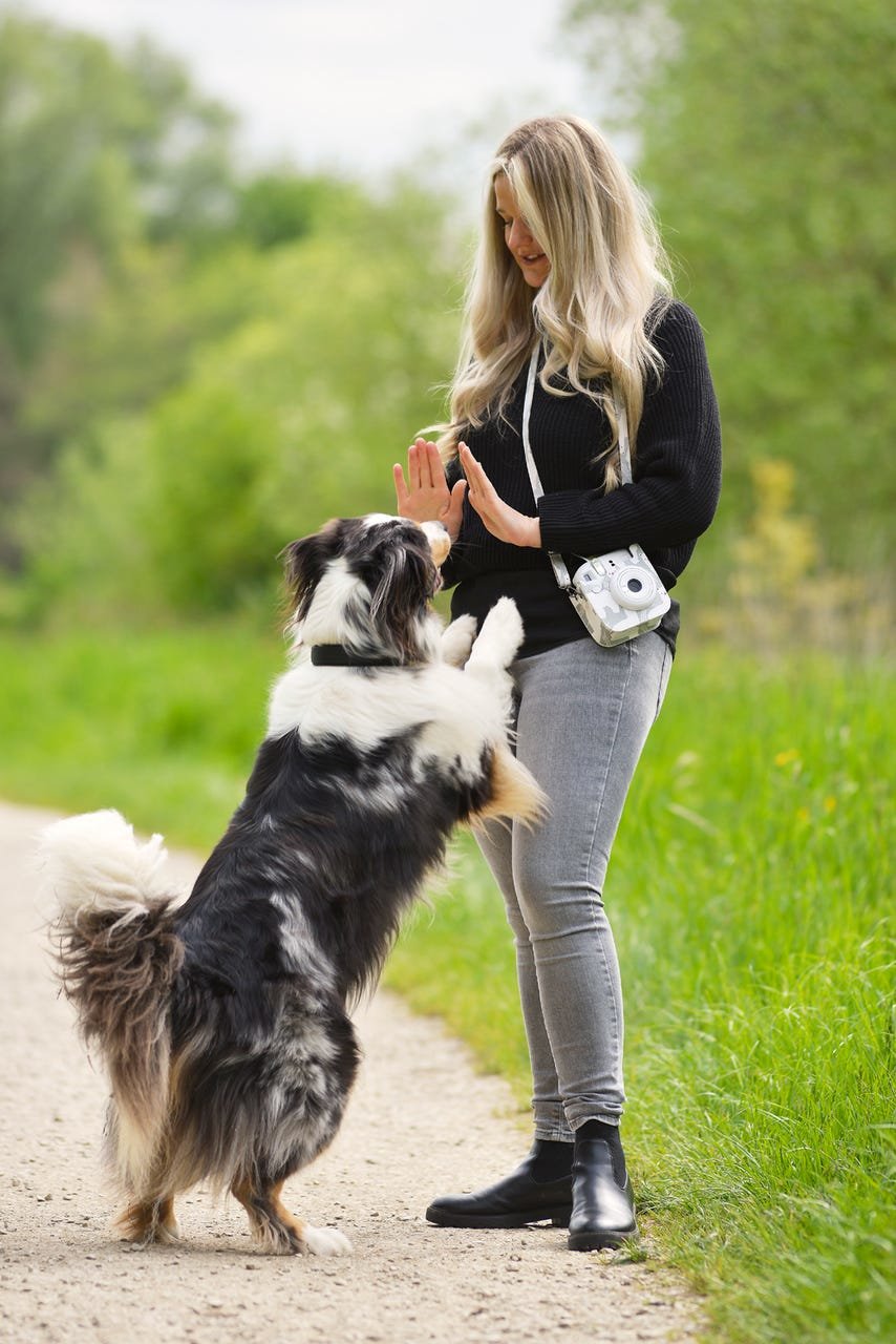 Cullmann Rio Fit 120 Llama Camera Bag For Instax Mini 12