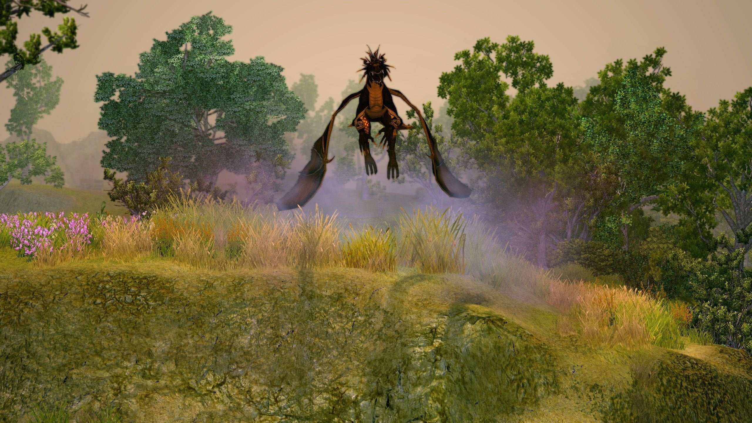 Juego Sacred 2 Remaster Xbox Series X