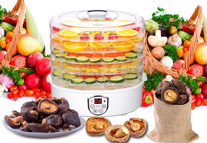 EAN 5903887805605 - Camry Premium CR 6659 deshidratador de alimentos Blanco 240 W imagen 9