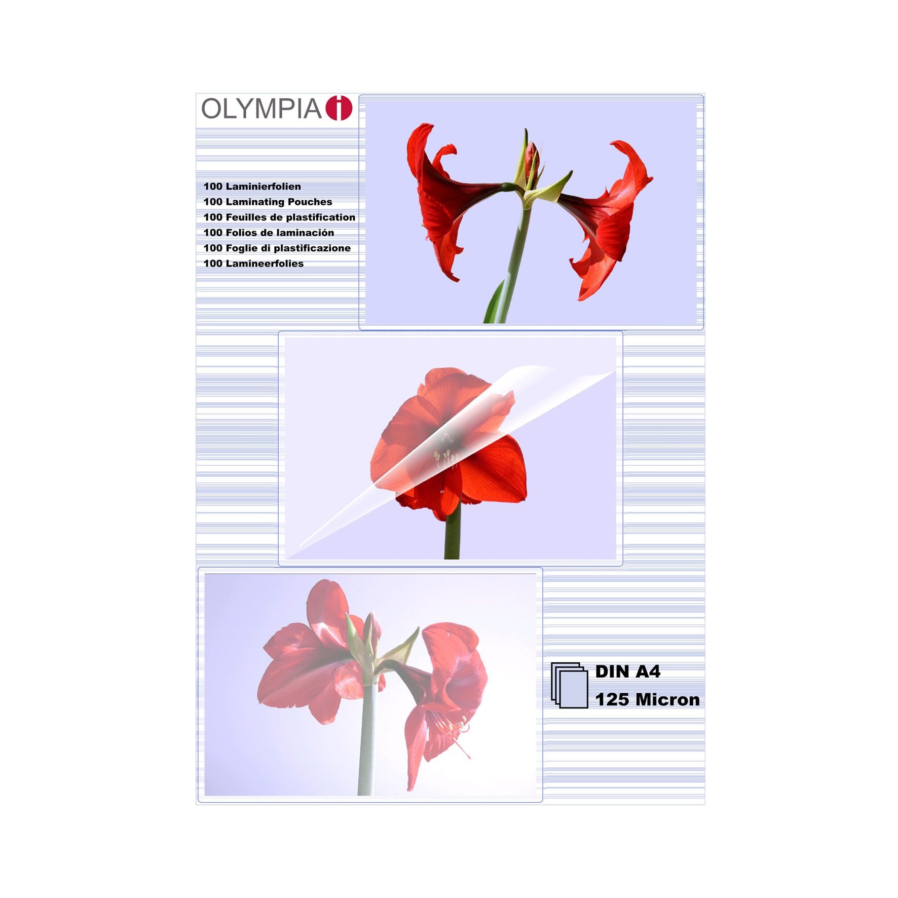 EAN 4030152091768 - Olympia 1x100 DIN A4 125 micron plastificador 100 pieza(s) imagen 1