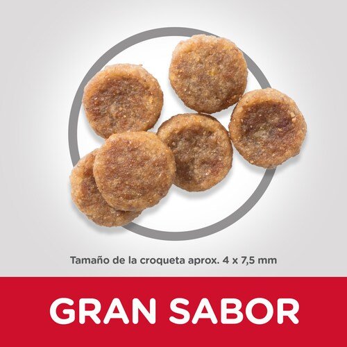 EAN 52742024769 - Hills 604233 comida seca para perros 6 kg Pollo, Ternera imagen 3