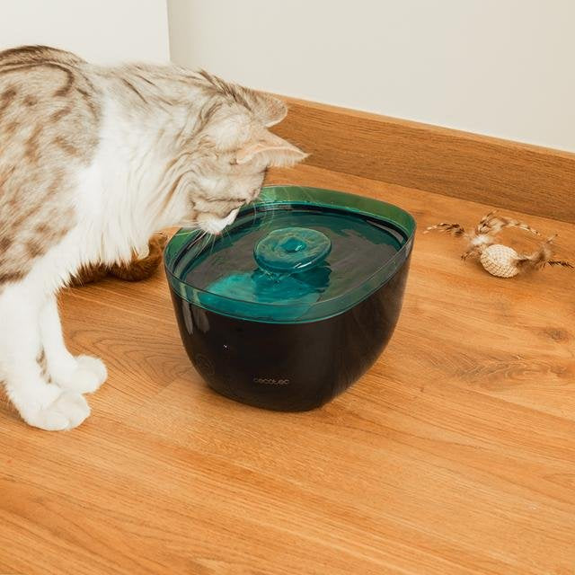 EAN 8435484095617 - Cecotec Pumba 2200 Refresh comedero y bebedero para perro y gato Plástico Negro, Azul Universal Bebedero imagen 7
