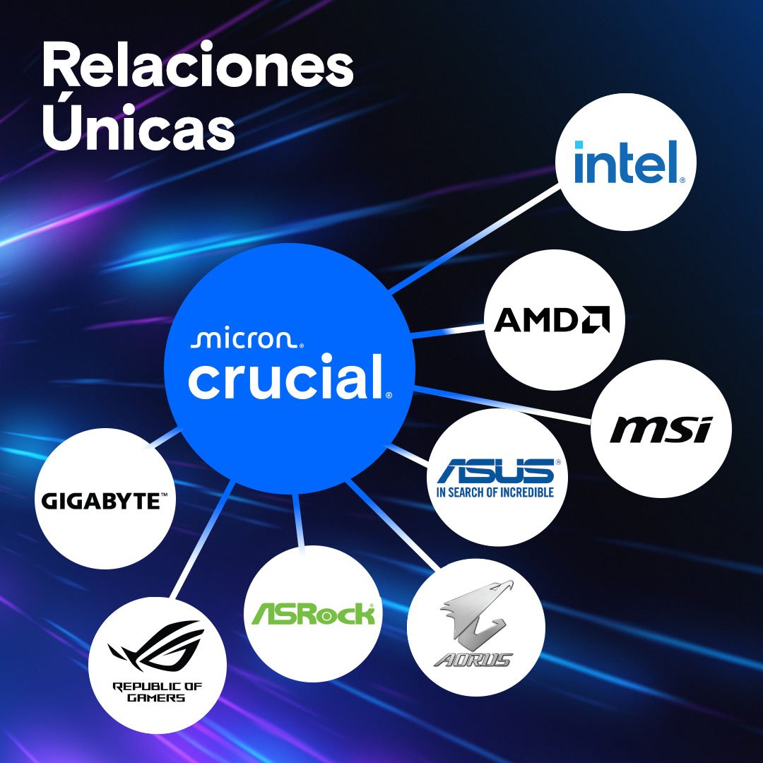 EAN 0649528944474 - Crucial Pro CP2K64G56C46U5 módulo de memoria 128 GB 2 x 64 GB DDR5 imagen 3