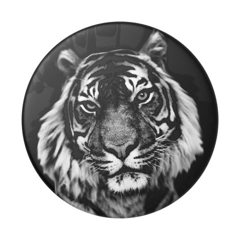 EAN 842978155845 - PopSockets 801728 accesorio para funda de teléfono móvil imagen 1