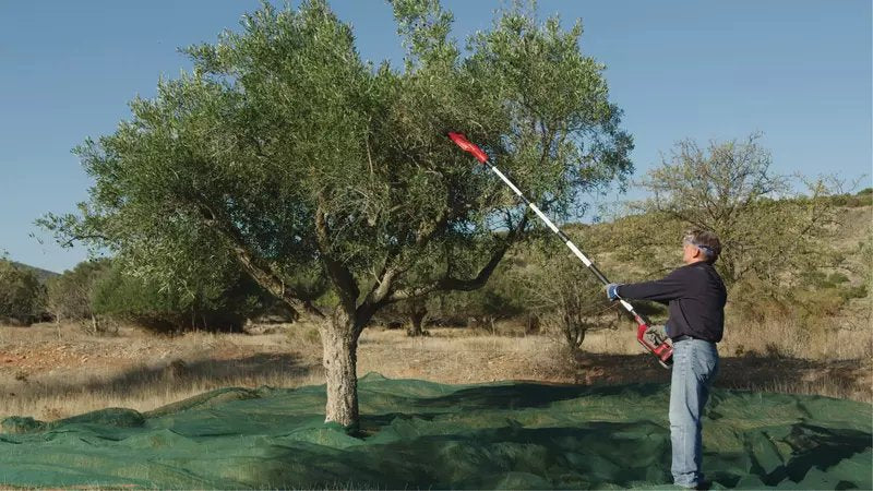 Einhell Power X-Change Akku-Oliven-/Obstrüttler Ge-Fs 18/53 Li-Solo (Rojo/Negro, Ohne Akku Und Ladegerät, Mit Teleskop-Stiel) 3411400