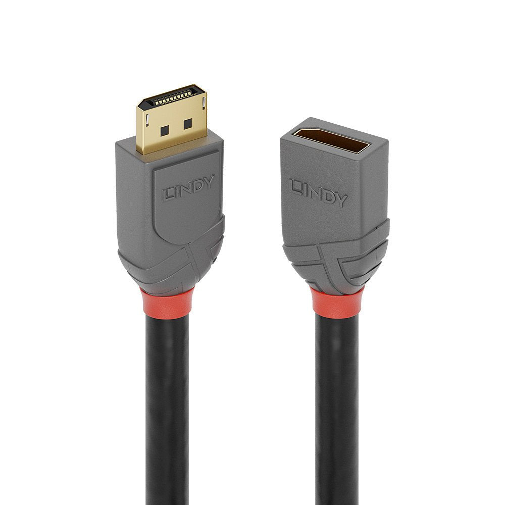 Lindy Displayport 1.4 Cable De Extensión 1m, Línea Anthra