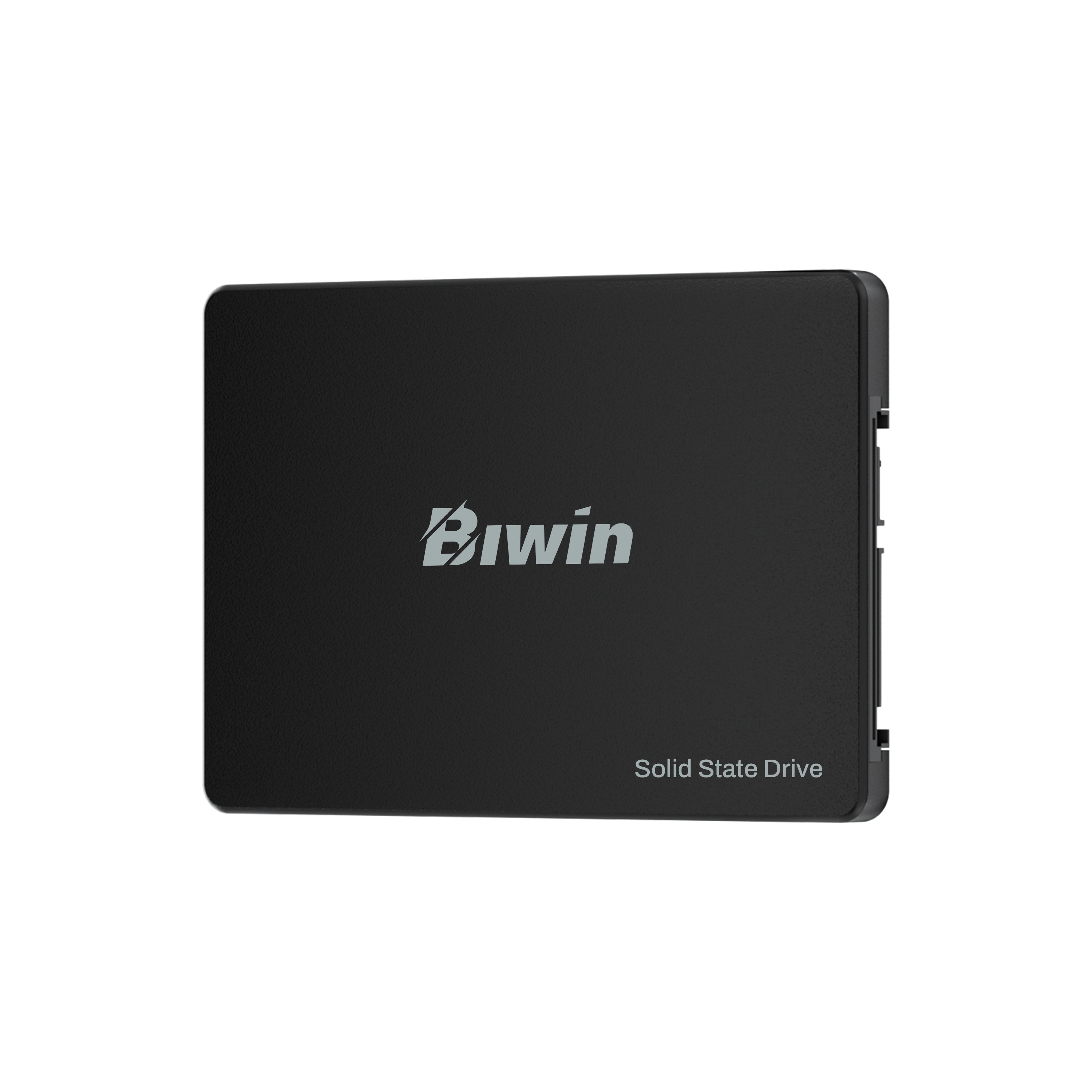 Biwin M100 128gb 2.5" 500 Mb-S