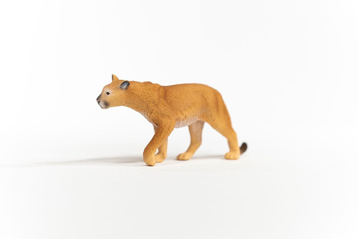 EAN 4059433364575 - schleich Vida Salvaje 14853 figura de juguete para niños imagen 2