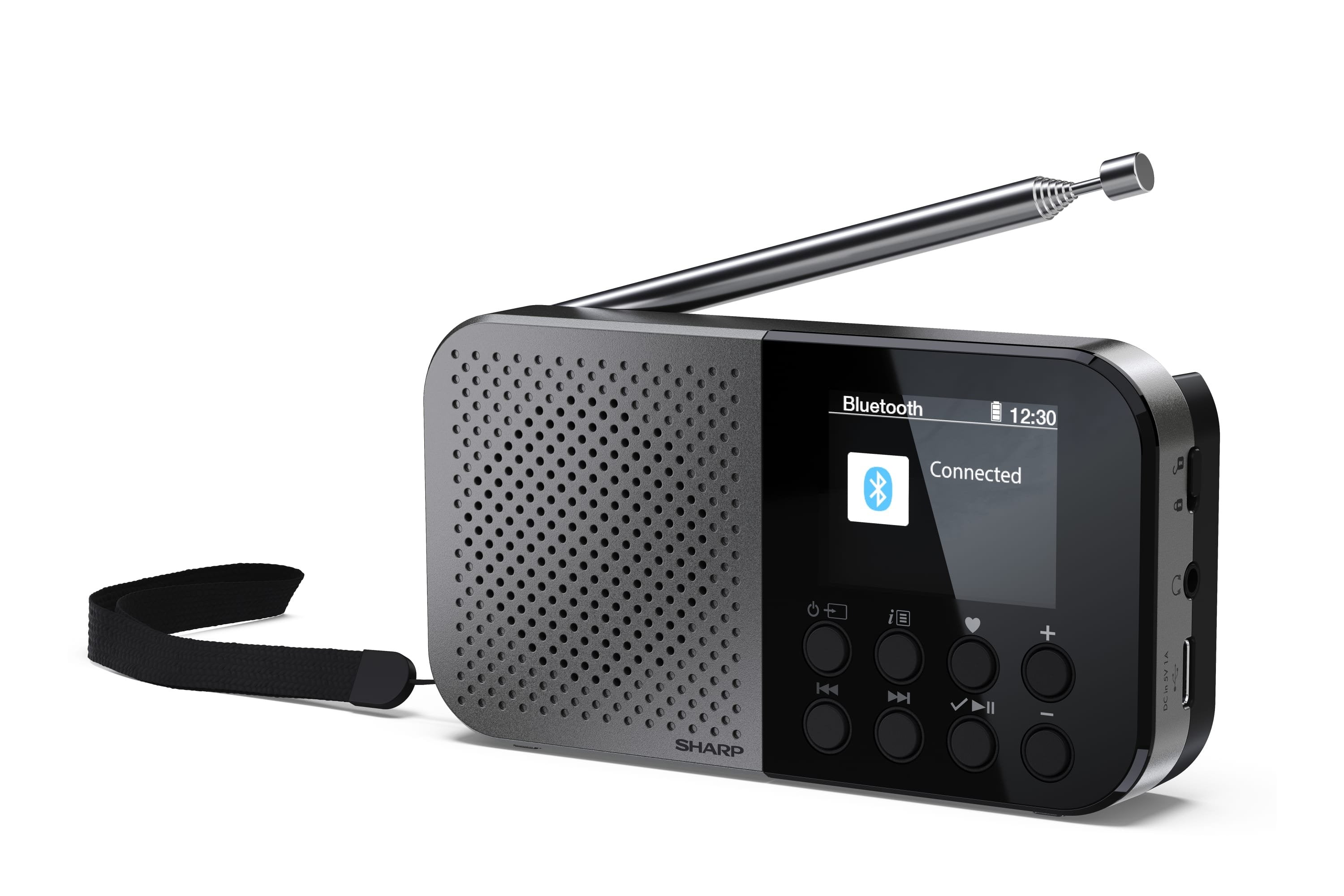EAN 4974019204451 - Sharp DR-P520 Personal Digital Gris imagen 1