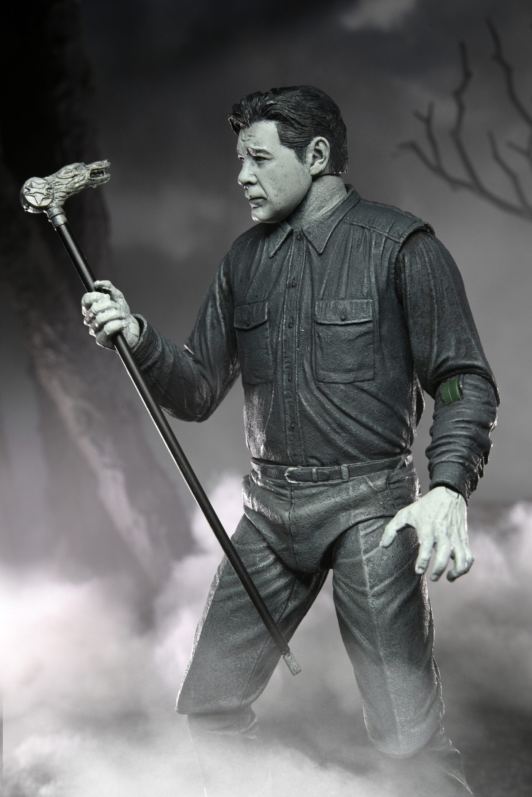 EAN 0634482048108 - NECA Ultimate Wolf Man (Black & White) imagen 15
