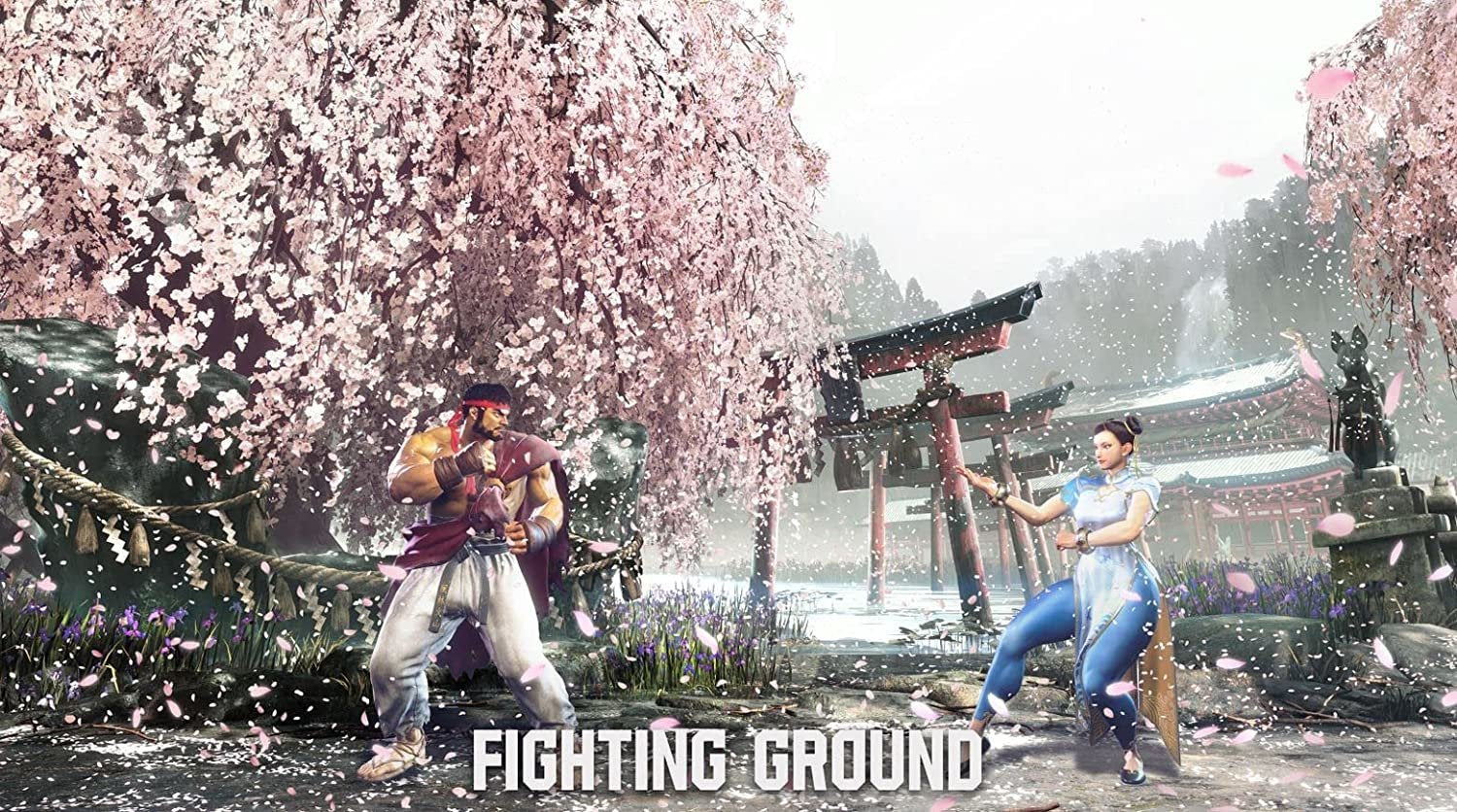 Juego Sony Ps4 Street Figther 6 Lenticular Edition