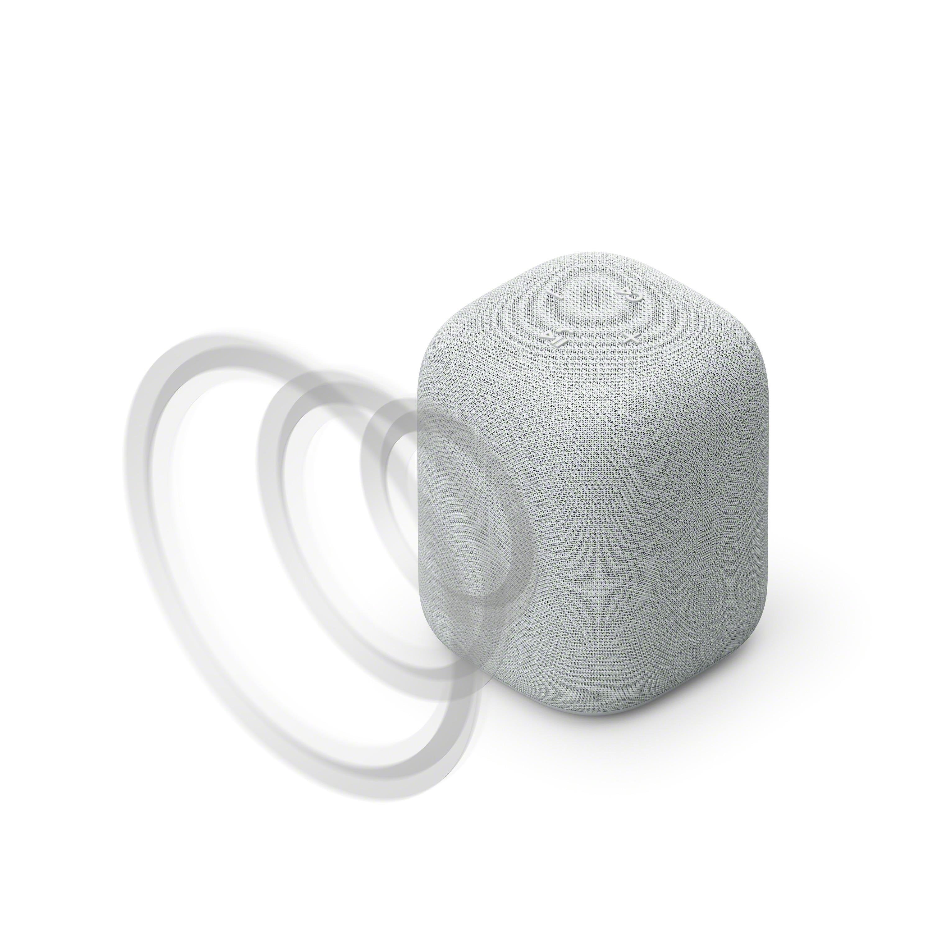 EAN 4548736158955 - Sony SRSLS1H acoplamiento altavoz 1.0 canales 0,3 W Gris claro imagen 8