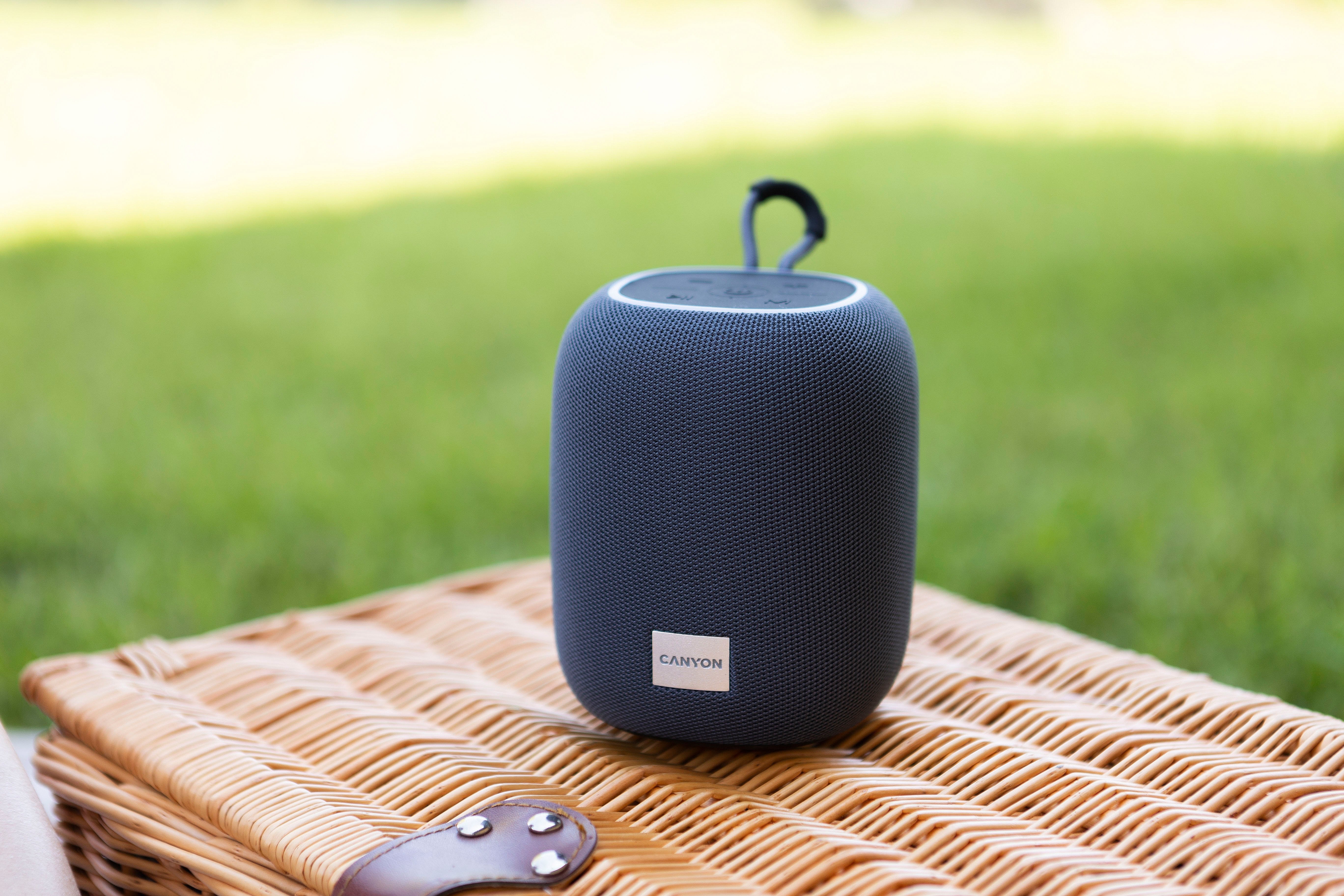 Canyon Bluetooth Speaker Bsp-8 Tf Reader Usb-C 10w Gris Retail