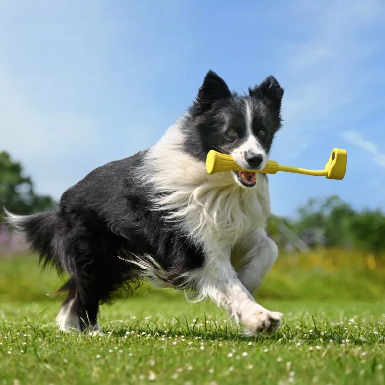 EAN 6970357855315 - Insta360 GO 3 Fetch Stick Soporte para cámara imagen 5