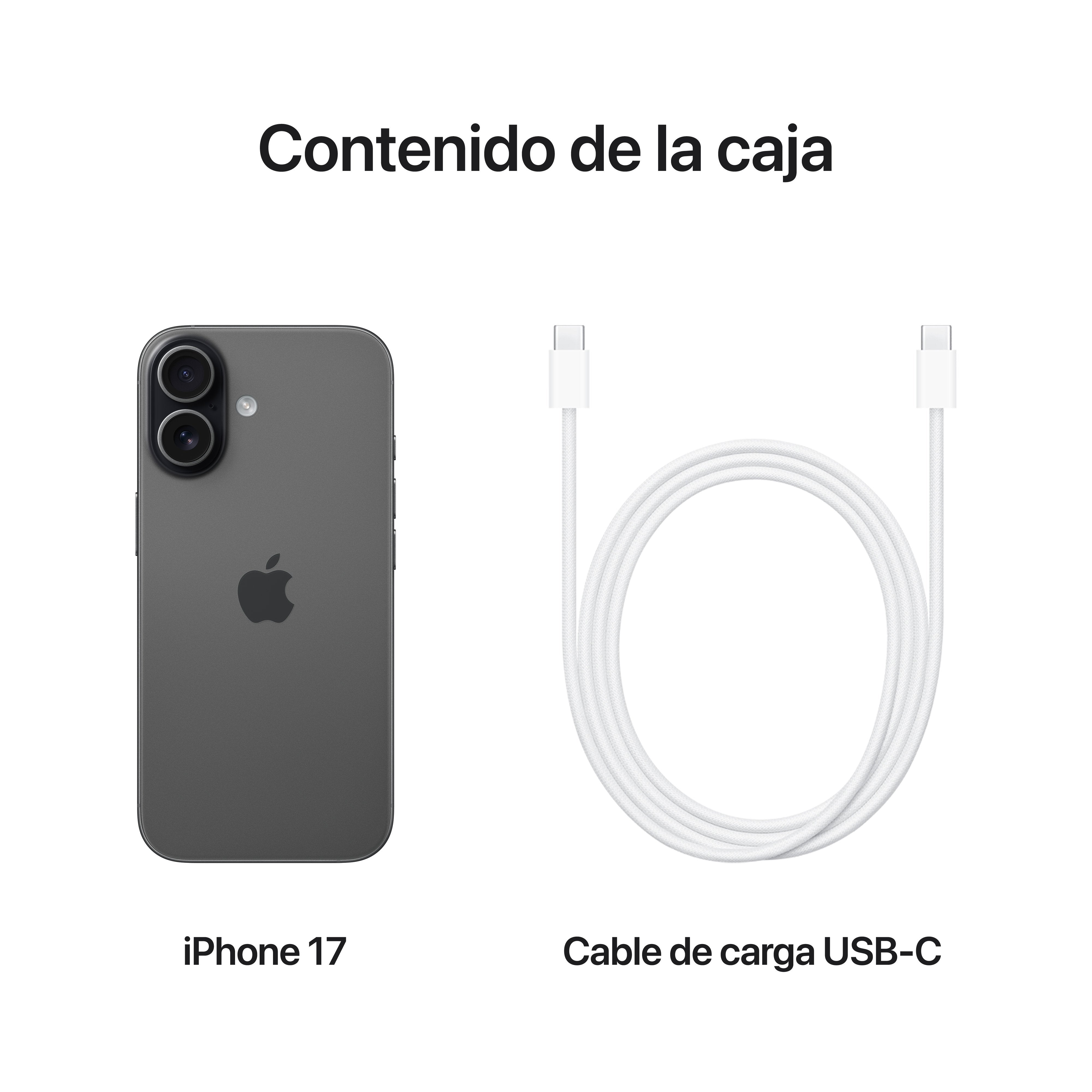 EAN 0195950644500 - Apple iPhone 17 16 cm (6.3") SIM doble iOS 26 5G USB Tipo C 512 GB Negro imagen 8