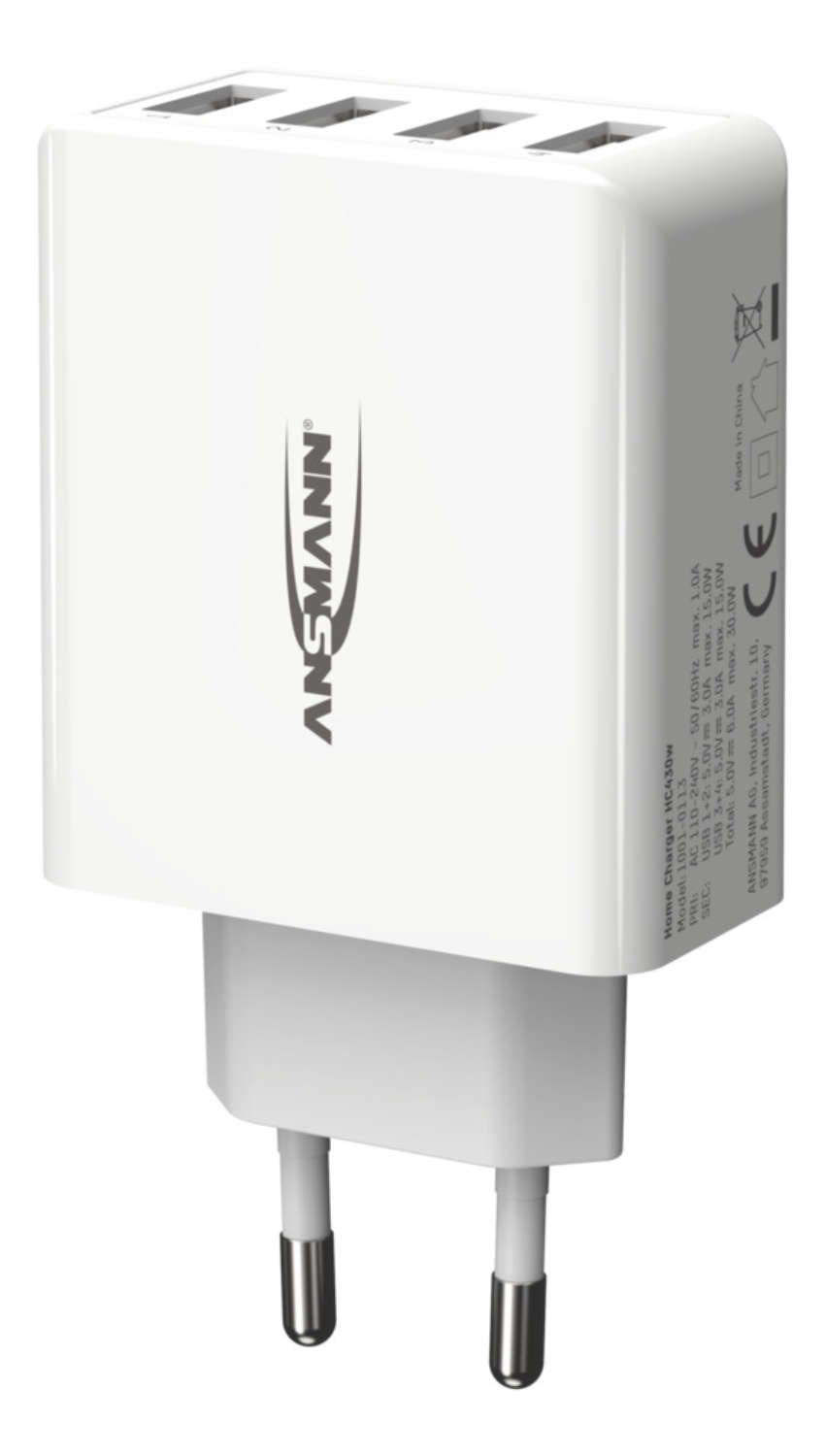EAN 4013674176694 - Ansmann HC430 Universal Blanco Corriente alterna Interior imagen 7