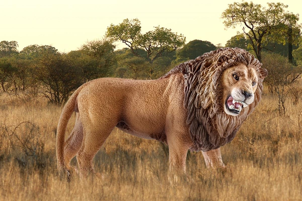EAN 4005086147263 - schleich Vida Salvaje 14726 figura de juguete para niños imagen 2