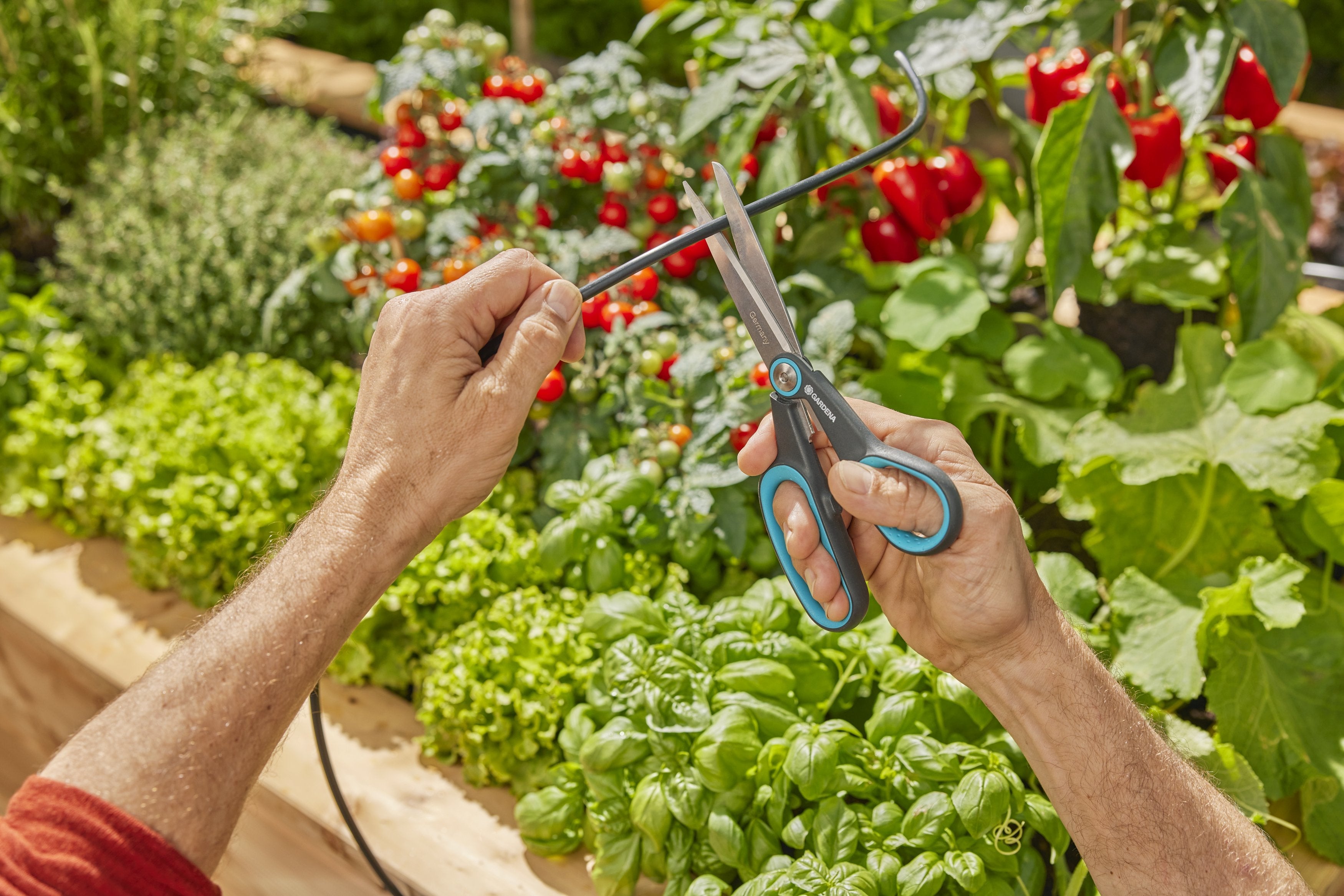 Gardena Riego Solar Aquabloom L Set, Control De Riego Gris/Turquesa, Para Hasta 30 Plantas 13330-20