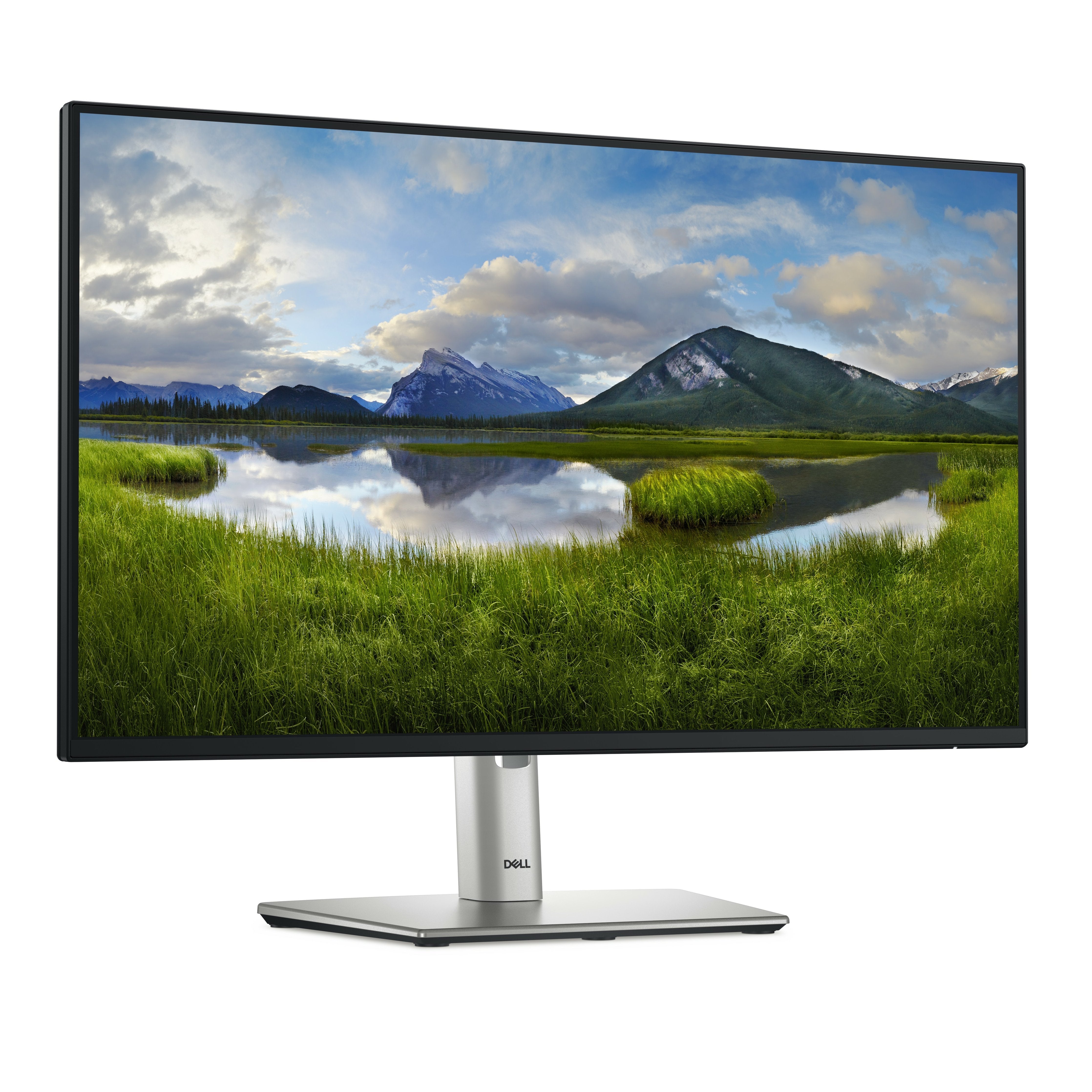 Monitor 24" Hdmi Displayport Vga Dell P2422h 1920x1080 8ms 250cd/M2 Pivotante Y Regulable En Alturacolor Negro 3aã±Os Garantia