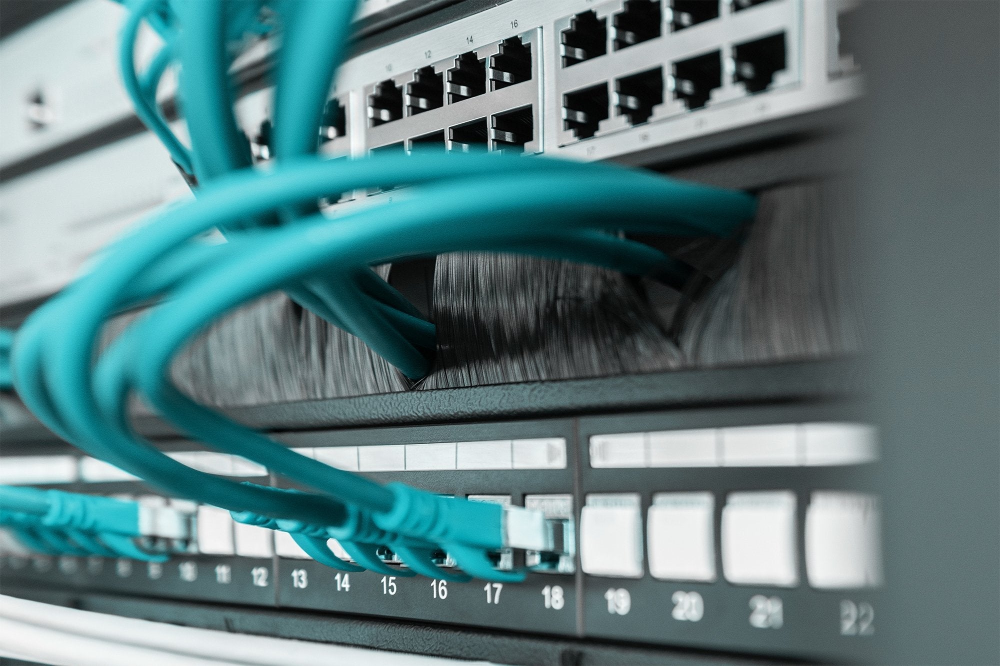 EAN 4016032430605 - Digitus DN-97661 accesorio de bastidor Panel ciego imagen 3