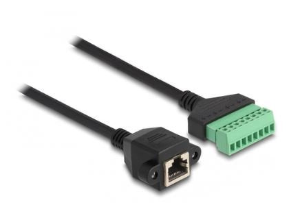 Delock Rj45 Cable Cat.6 Buchse Zu Terminalblock Adapter Zum Einbau 2 M 2-Teilig