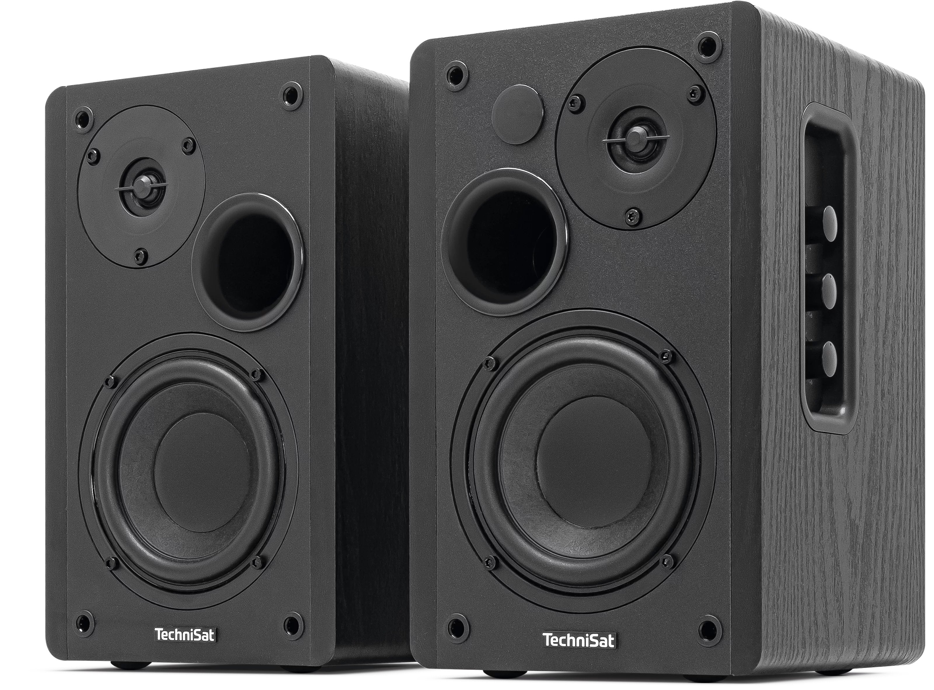 Technisat Audiomaster Rls 1