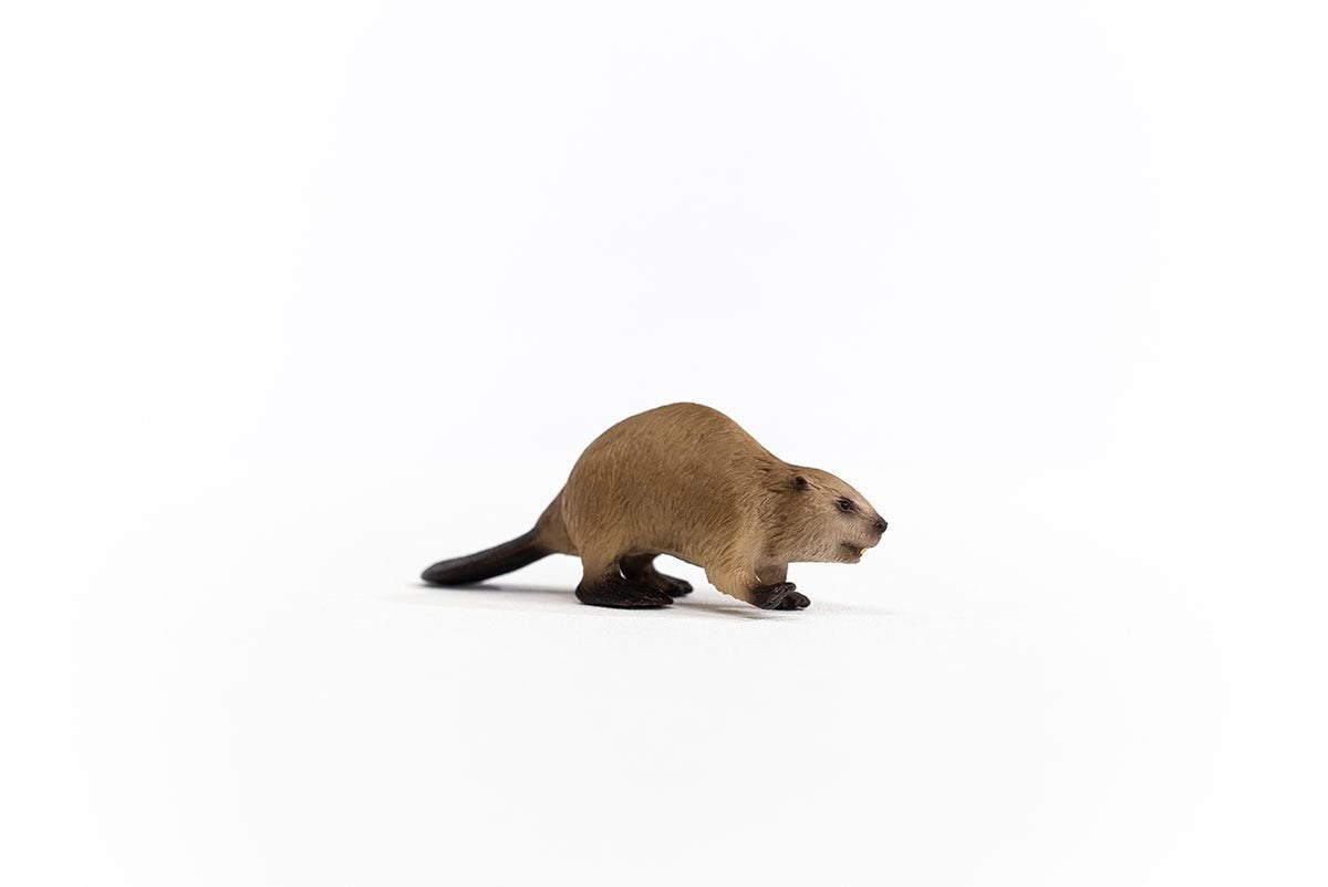 Schleich Castor Vida Salvaje 14855