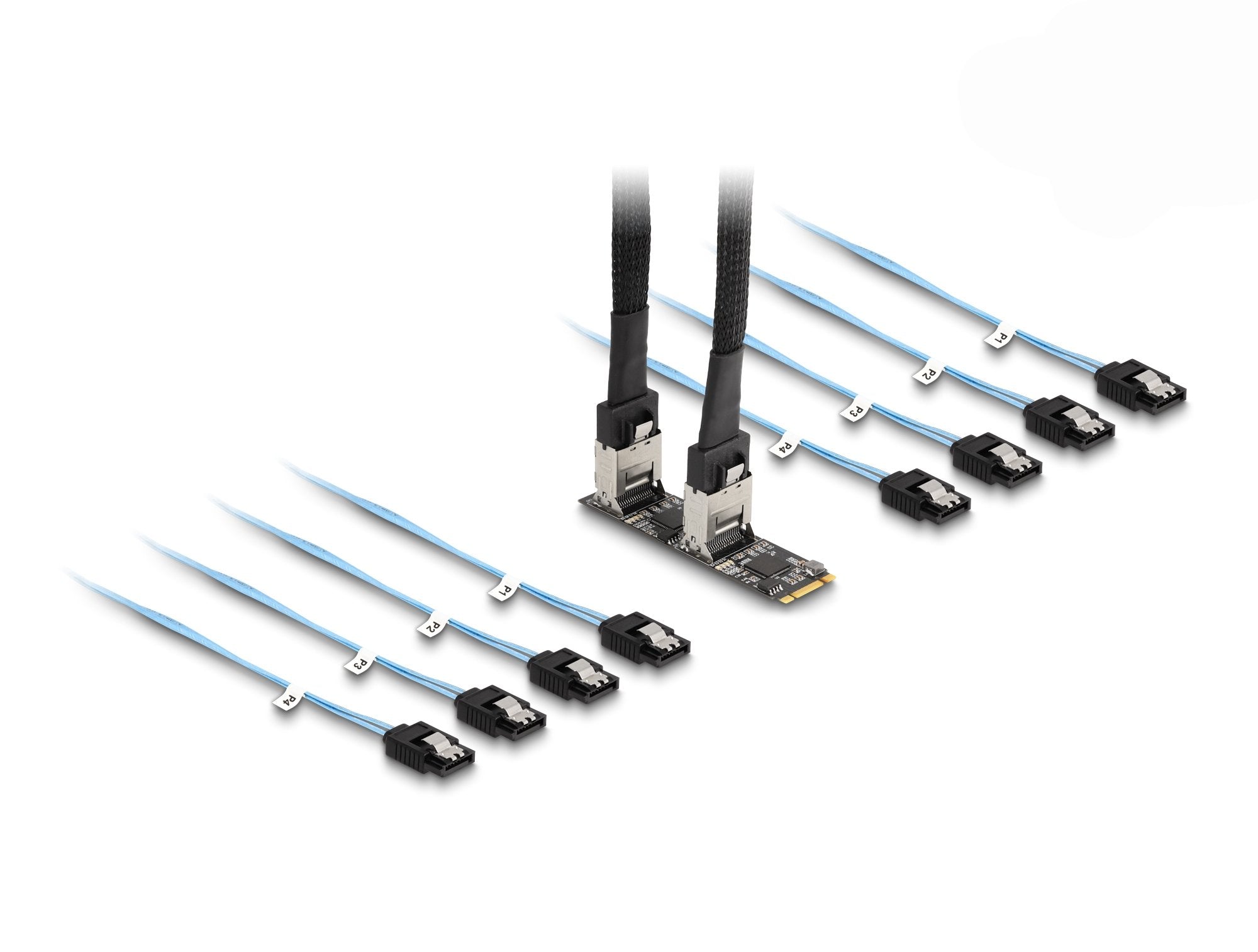 Delock Convertidor M.2 2280 Key B+M Macho A 8 X Sata