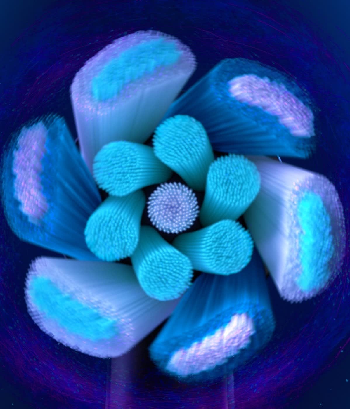 EAN 4210201319818 - Oral-B iO Ultimate Clean 4 pieza(s) Blanco imagen 8