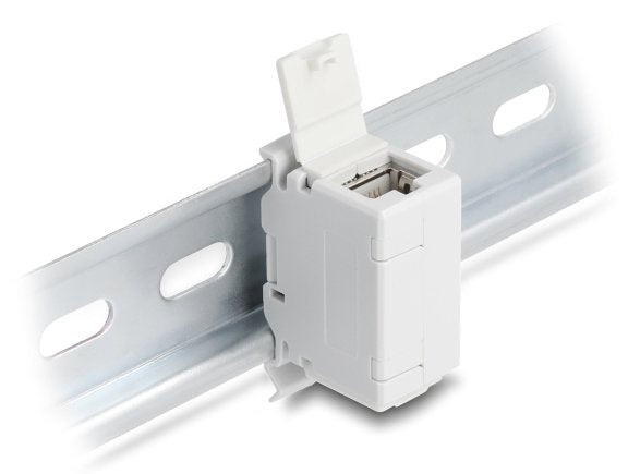 Delock Rj45 Kupplung Cat.6a Hembra A Hembra Con Staubschutzklappe